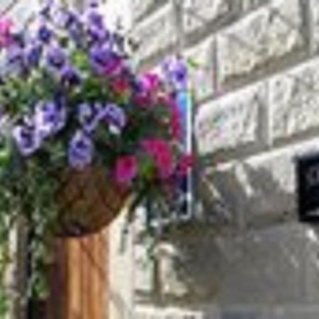 Cheshire House Guest House Гоп Екстер'єр фото